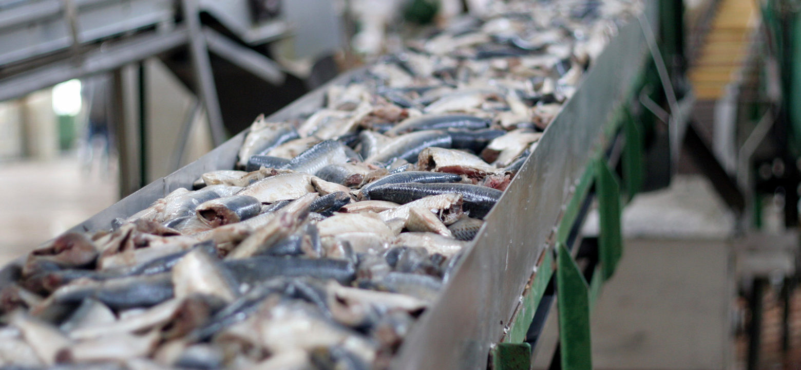 поставка котлов КВМ 1,8 для рыбоперерабатывающей отрасли